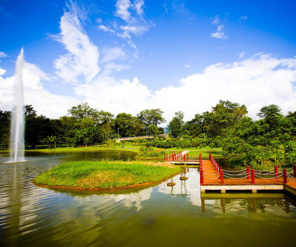 西雙版納優(yōu)秀線路分類
