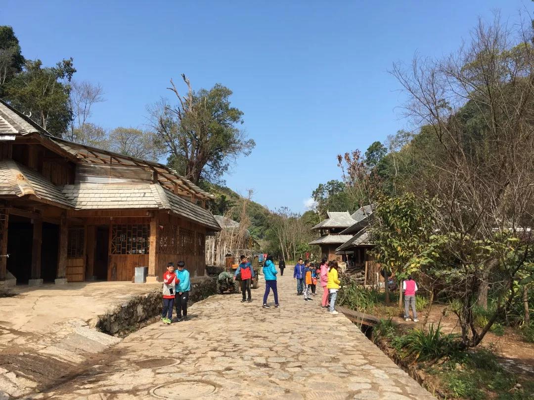 西雙版納研學夏令營