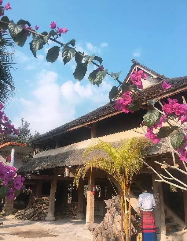 西雙版納研學夏令營