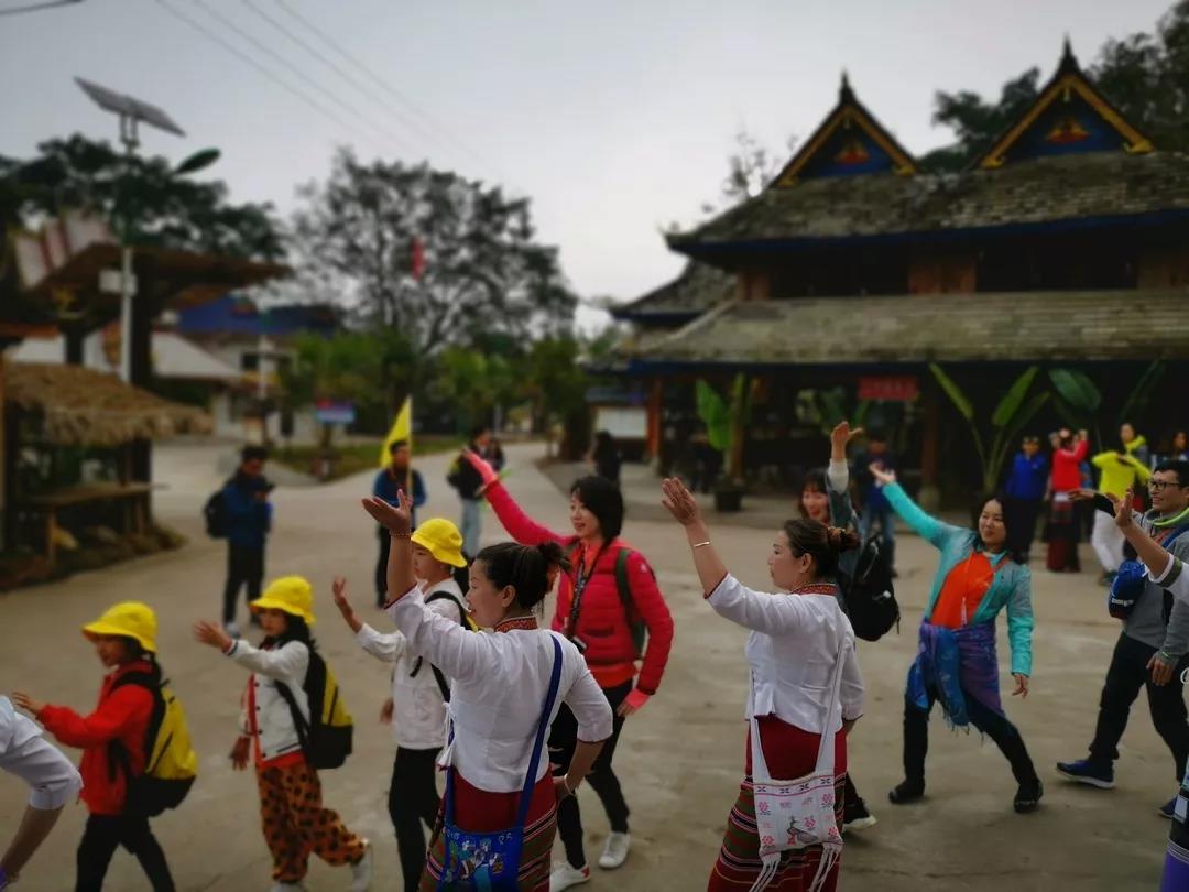 西雙版納研學夏令營