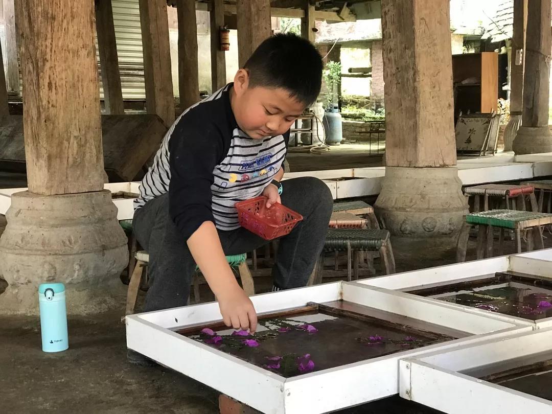 西雙版納研學夏令營