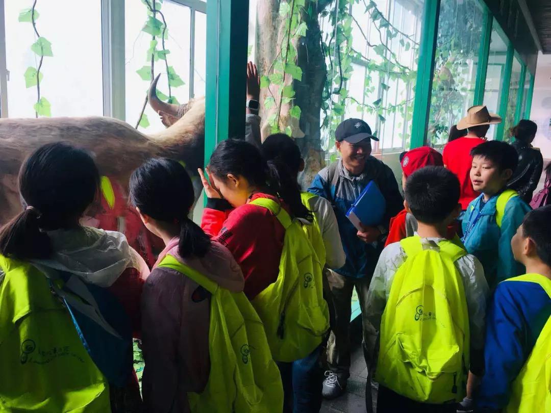 西雙版納研學夏令營