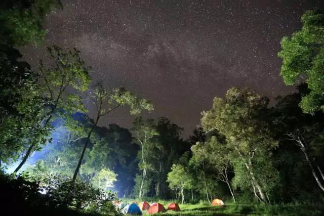 星空露營 