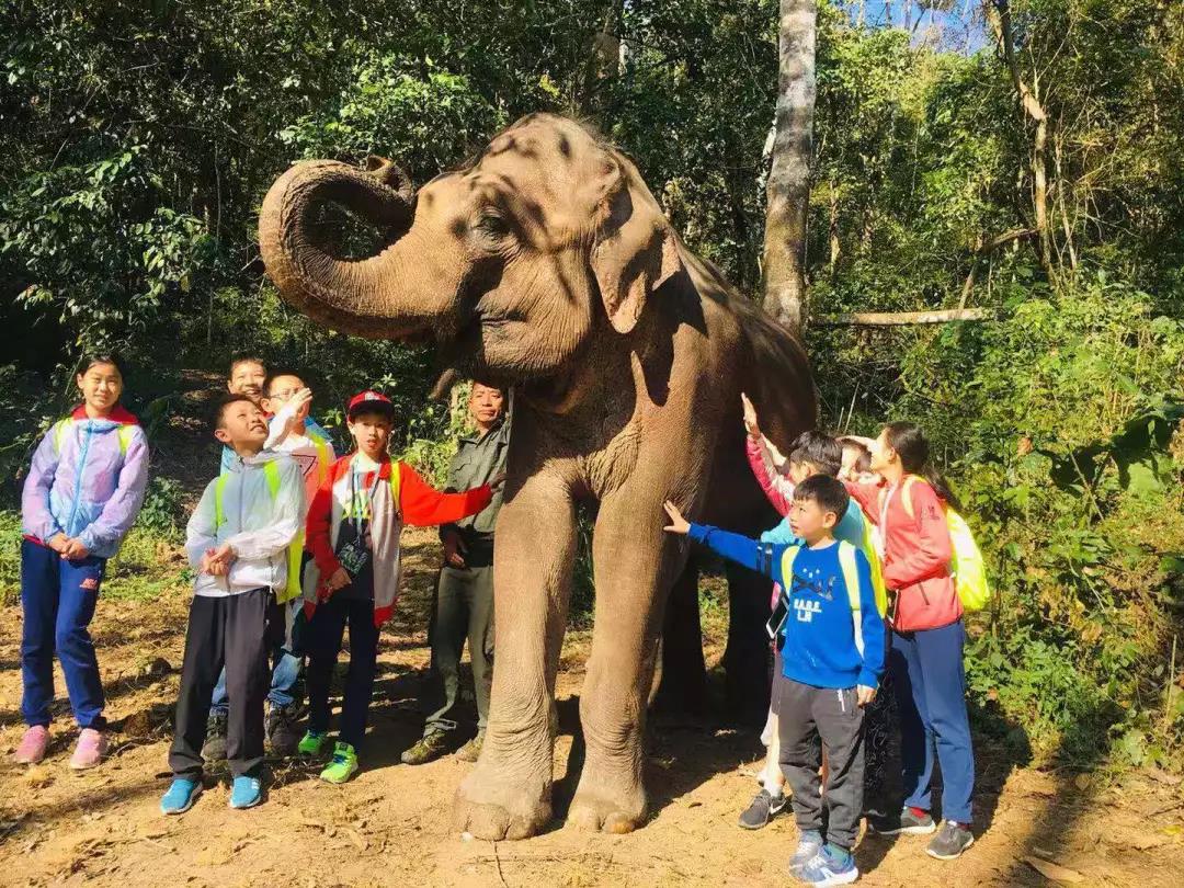 西雙版納研學(xué)夏令營