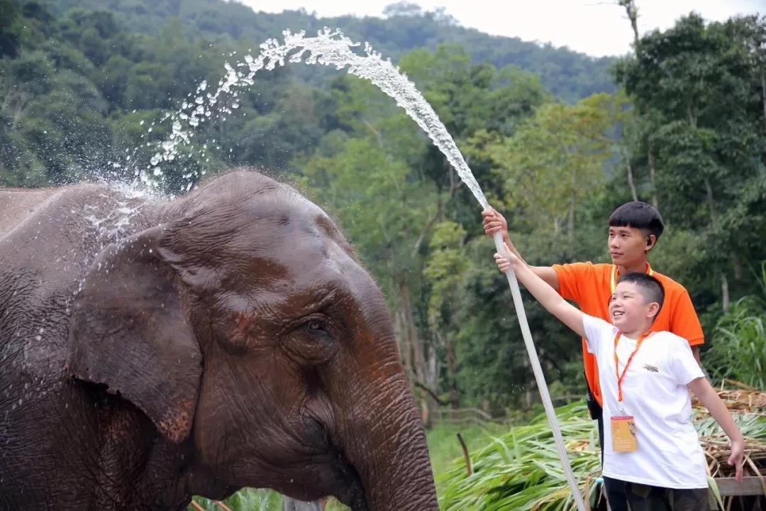 西雙版納研學(xué)夏令營