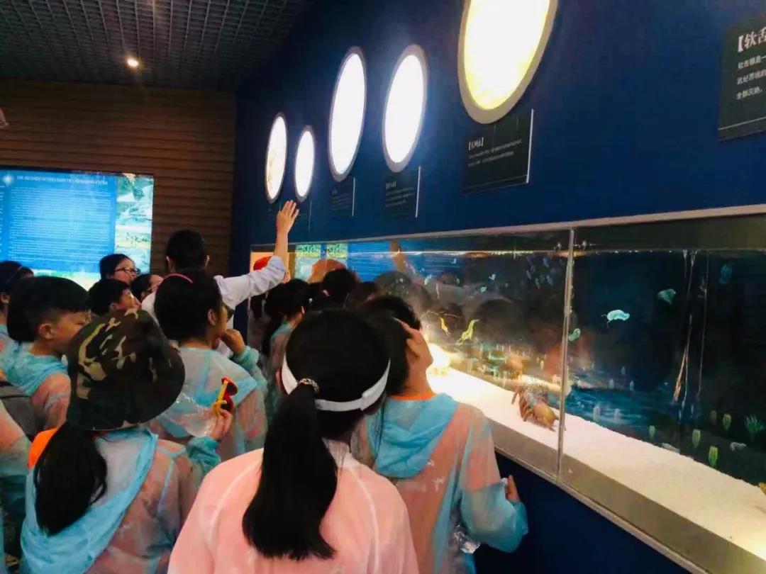 西雙版納研學夏令營