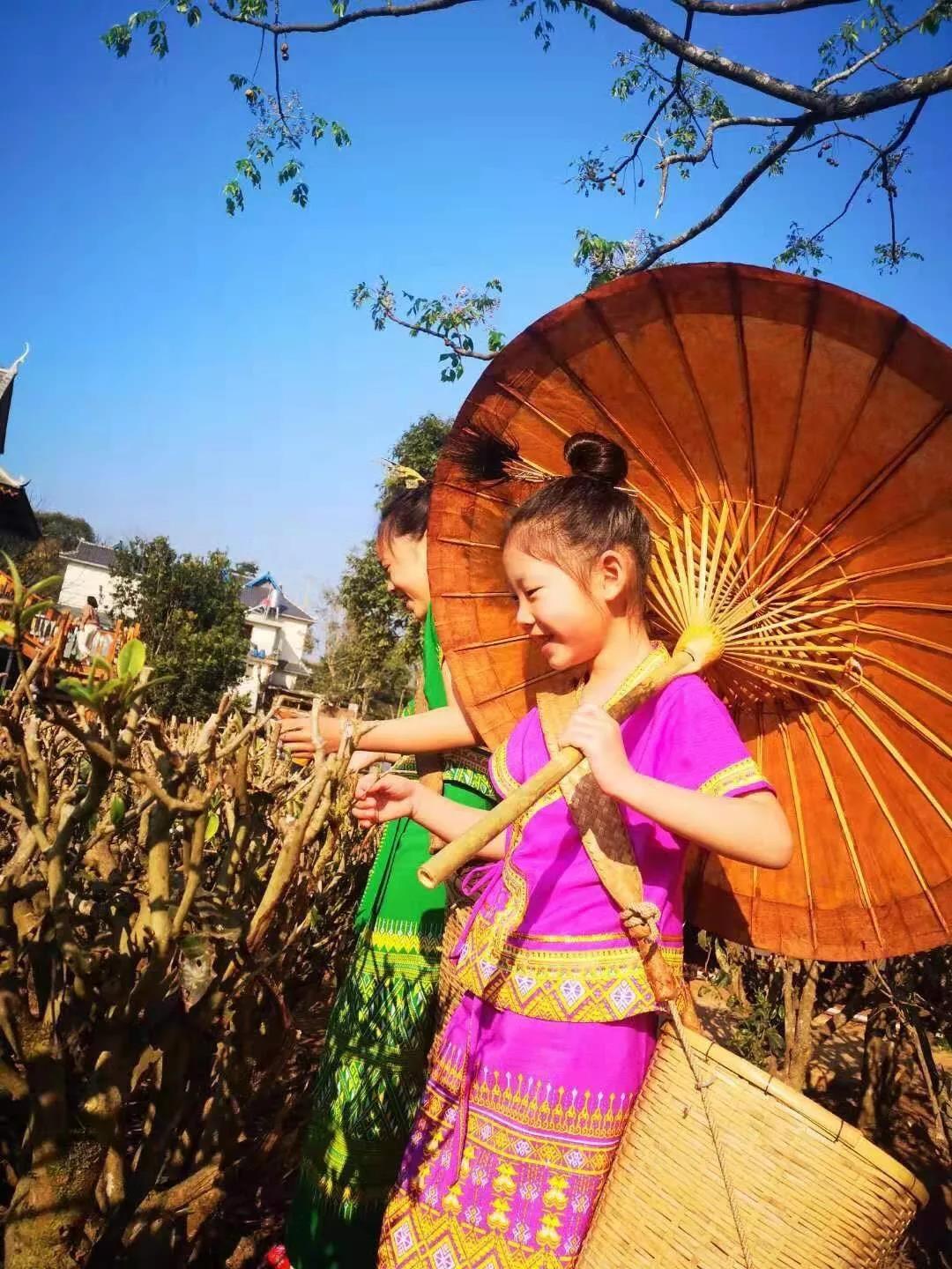 西雙版納研學夏令營