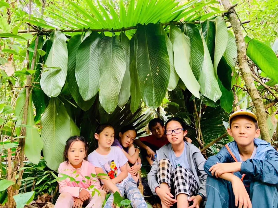 西雙版納研學夏令營