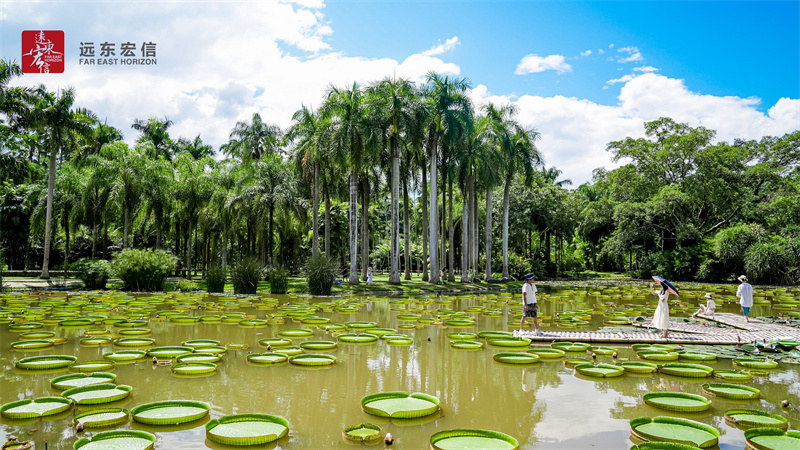 西雙版納植物園